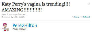 Illustration for article titled Katy Perry's Privates Become A Trending Topic